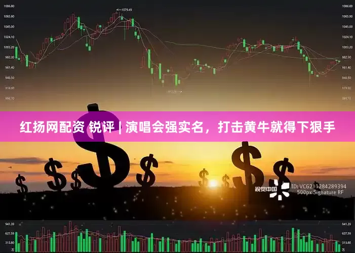 红扬网配资 锐评 | 演唱会强实名，打击黄牛就得下狠手