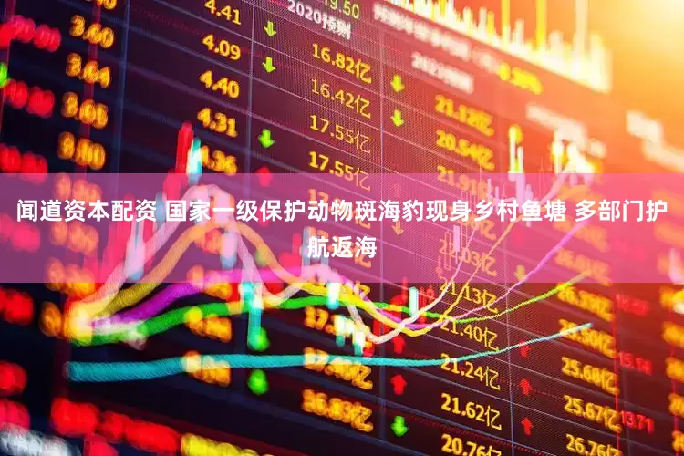 闻道资本配资 国家一级保护动物斑海豹现身乡村鱼塘 多部门护航返海
